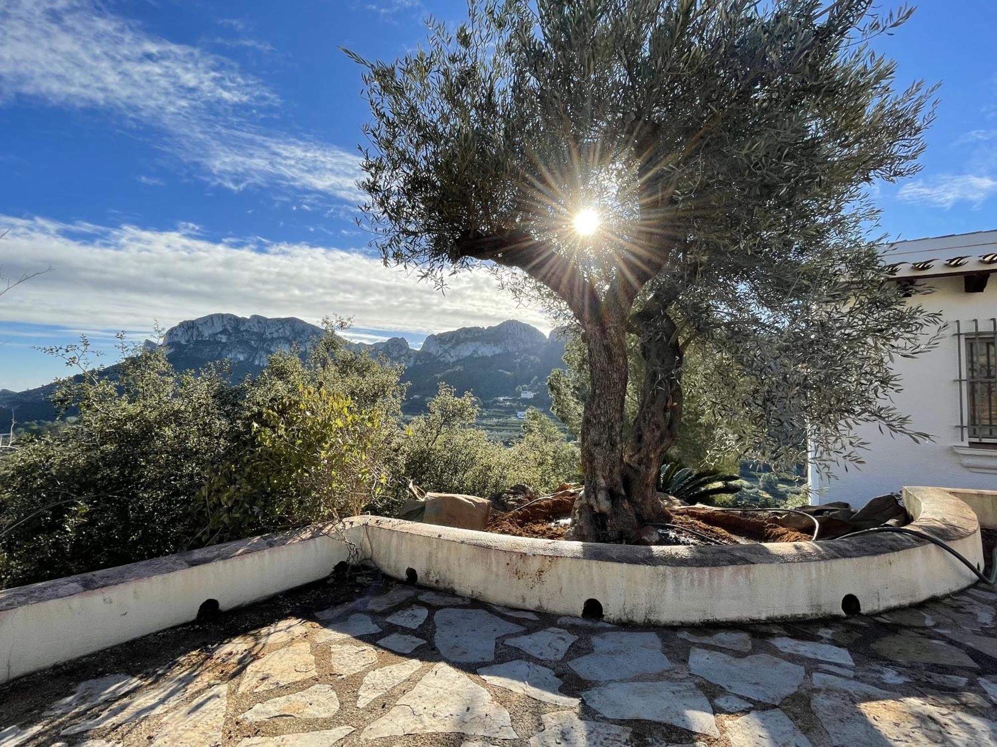 Villa Casa Dali Monte Pego Eksteriør bilde